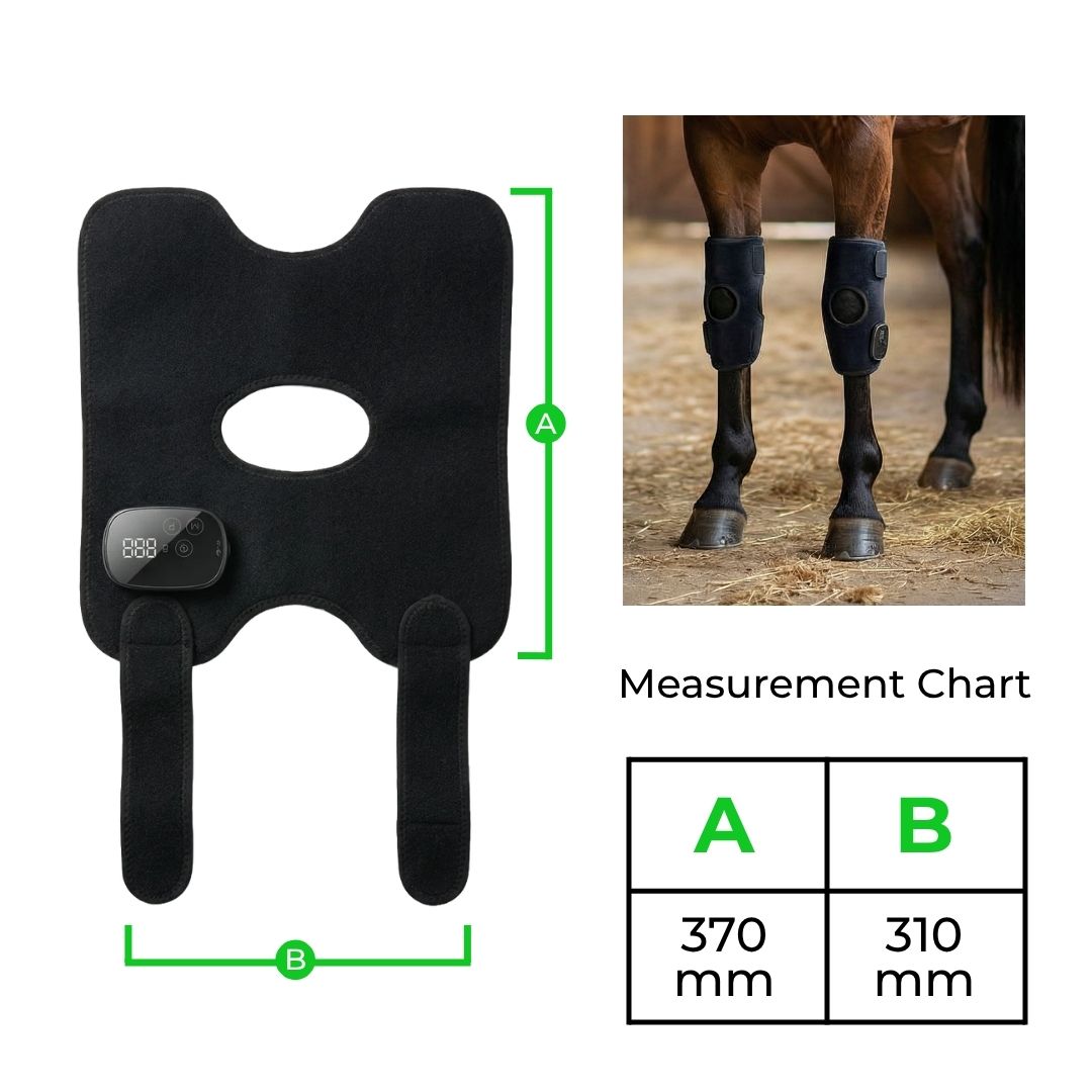 HorseHalo™ HaloHocks