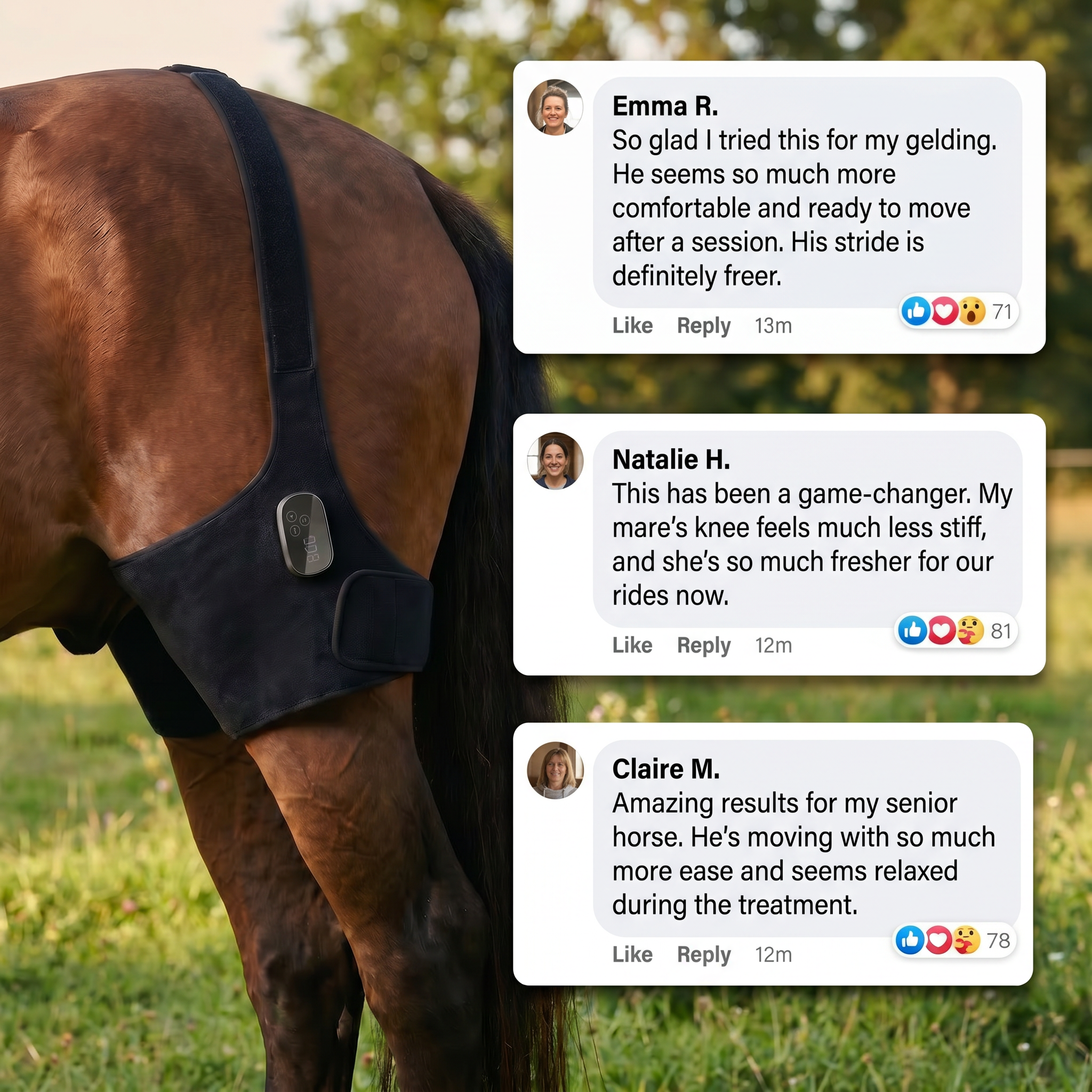HorseHalo™ HaloHind