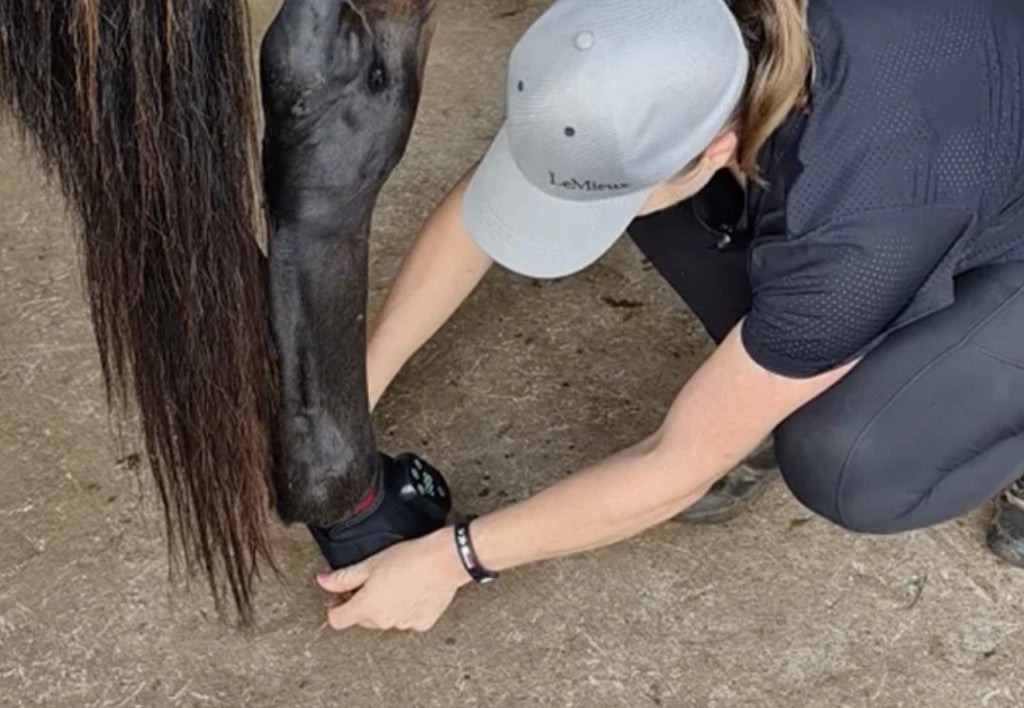 How To Use The HorseHalo Massage Gun