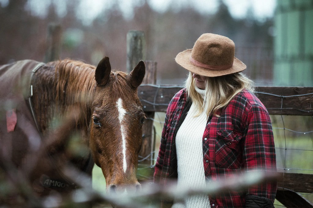 Why Horses Hold Tension