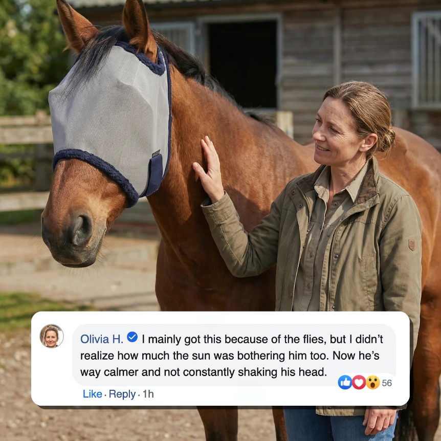 HorseHalo™ Fly Mask – Soft Mesh (Without Ears)
