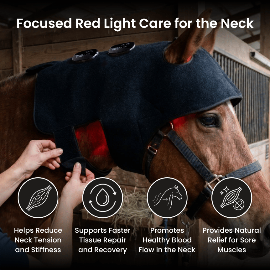 HorseHalo™ HaloHead