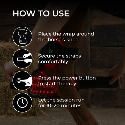 HorseHalo™  HaloHocks