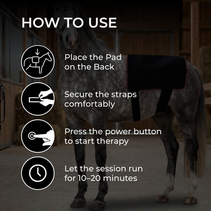 HorseHalo™ Full-Back Red Light Pad