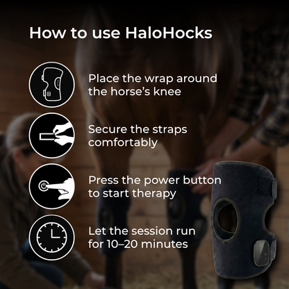 HorseHalo™  HaloHocks