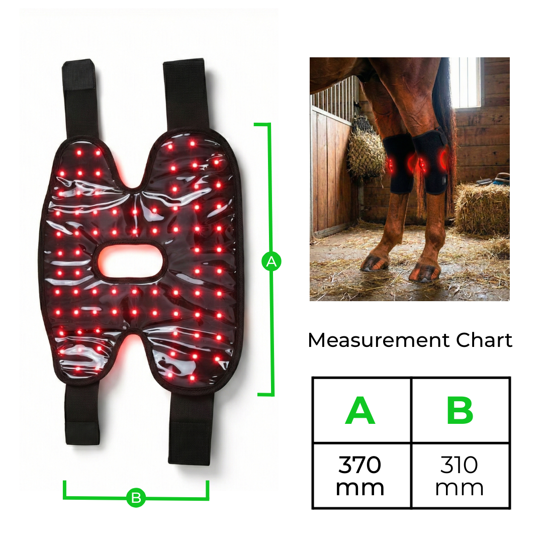 HorseHalo™  HaloHocks