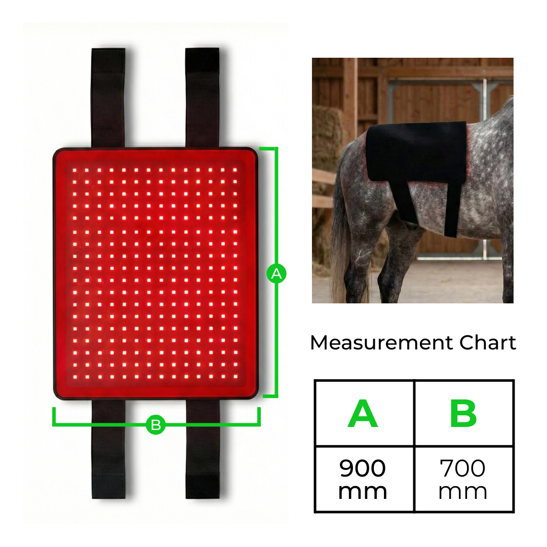 HorseHalo™ Full-Back Red Light Pad