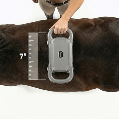 HorseHalo™ 8 Heads Red Light Massage Gun