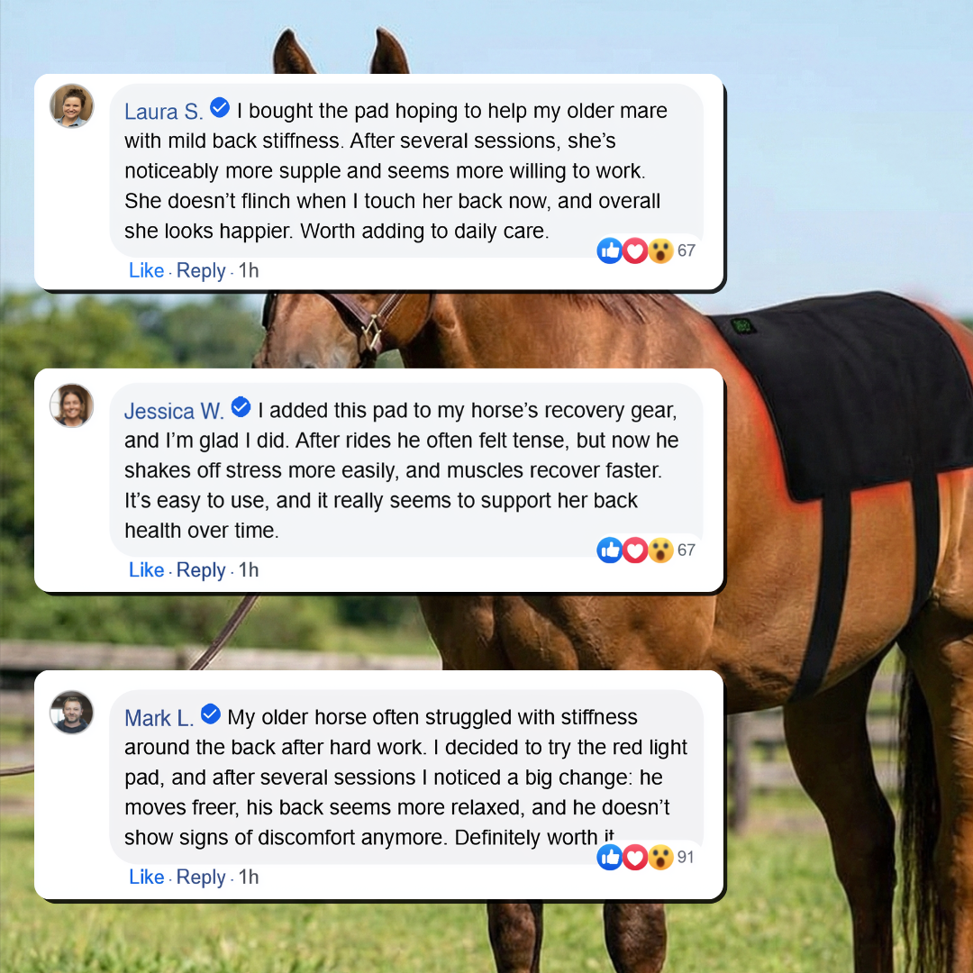 HorseHalo™ Full-Back Red Light Pad