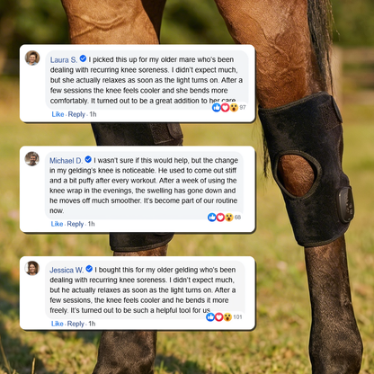 HorseHalo™  HaloHocks