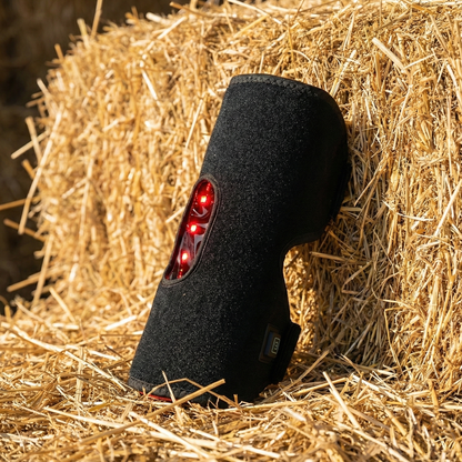 HorseHalo™  HaloHocks