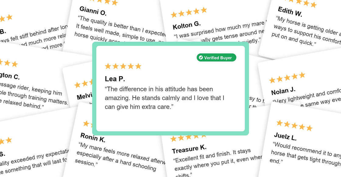 Overlapping cards showing verified HaloHind customer reviews