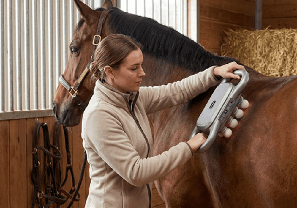 Woman using Vida Saluda™ on horse in stable